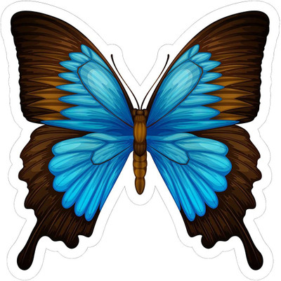 amazinghub Sticker & Decal for Car & Bike(Multicolor)
