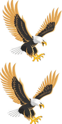 Himanshu kumar 14 cm Eagle4₹_6 Self Adhesive Sticker(Pack of 2)