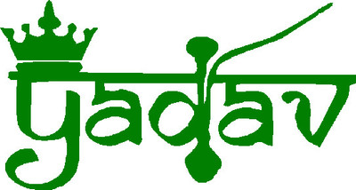 Nanjil Sticker & Decal for Car & Bike(Green)