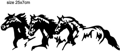 AarnaDecals Sticker & Decal for Car & Bike(Black)