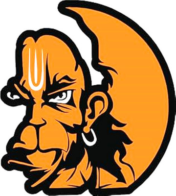 Lopo Sticker & Decal for Car & Bike(Orange)