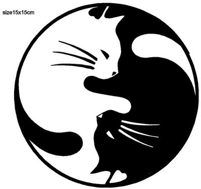 AarnaDecals Sticker & Decal for Car & Bike(Black)