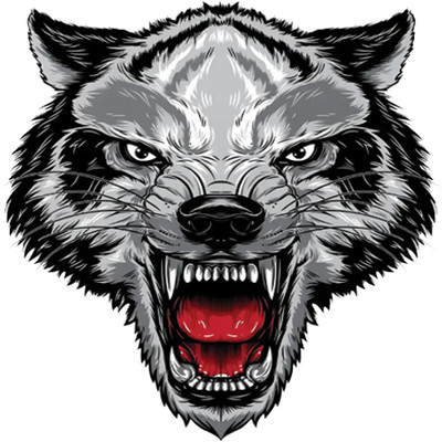 INDIAN RACER Sticker & Decal for Car & Bike(Grey, Black)