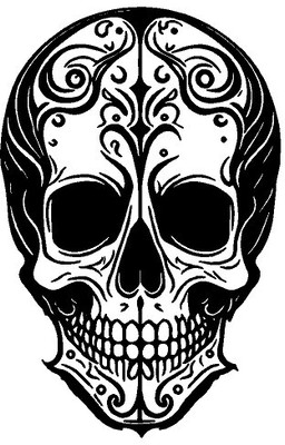 AarnaDecals Sticker & Decal for Car & Bike(Black)