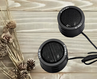 NISAI NS01 Car Subwoofer Subwoofer(Powered , RMS Power: 80 W)
