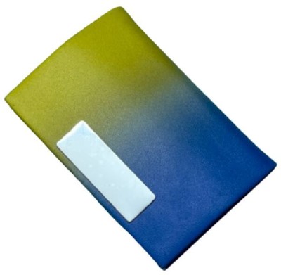 CS ENTERPRISE 12 Card Holder(Set of 1, Yellow, Blue)