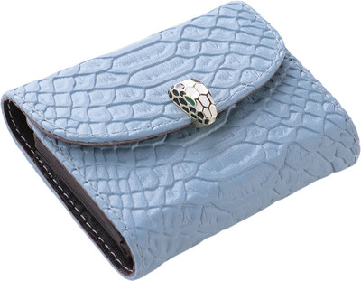 KUBER INDUSTRIES Card Holder Wallet 12 Card Holder(Set of 1, Blue)