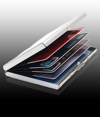 KP2 NA 10 Card Holder(Set of 1, Silver)