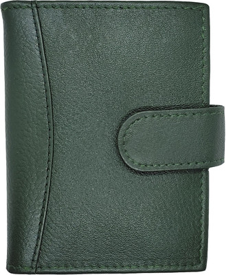 HIDE & SLEEK Card Holder 20 Card Holder(Set of 1, Green)