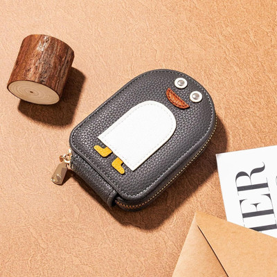SVULINT 10 Card Holder(Set of 1, Multicolor)