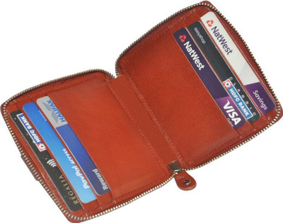 HIDE & SLEEK Card Holder 10 Card Holder(Set of 1, Multicolor)