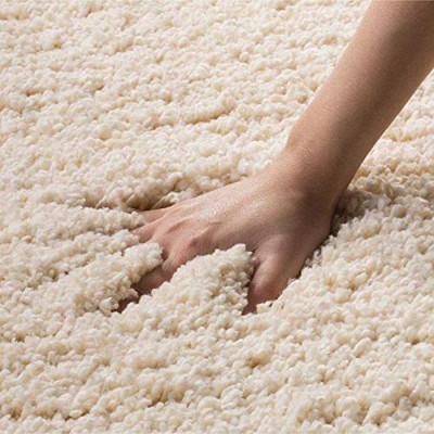 Acarpet Beige Polyester Carpet(6 ft,  X 9 ft, Rectangle)