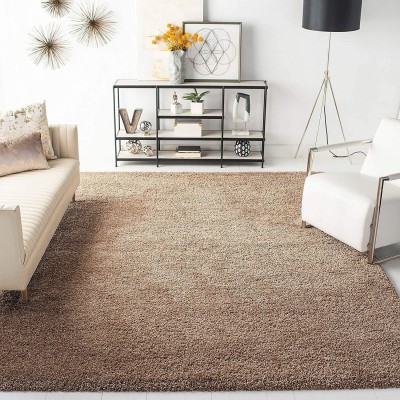 Shaggy Expert Beige Polyester Area Rug(5 ft,  X 3 ft, Rectangle)