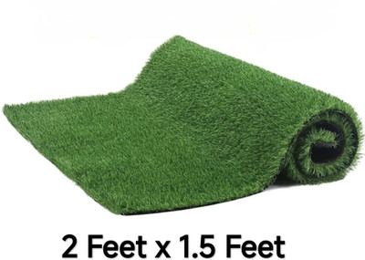 Anubhavsingh Light Green Polypropylene Carpet(46 cm,  X 60 cm, Rectangle)