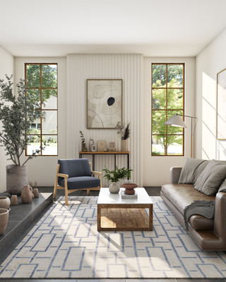 ASTERLANE 4 Feet  X 6 Feet Polypropylene Carpet(Rectangle, White, Beige)