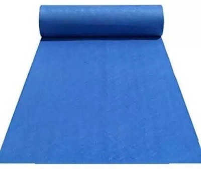 Shanno Collection Blue Nylon Carpet(152 cm,  X 1067 cm, Rectangle)