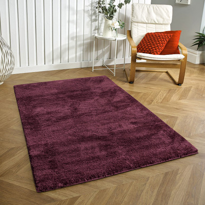 Acarpet Red Polyester Carpet(90 cm,  X 150 cm, Rectangle)