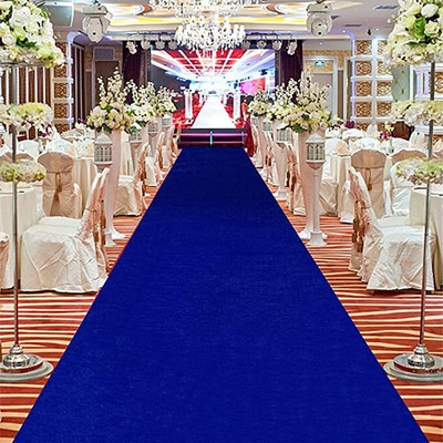 AlishaCarpet Light Blue Nylon Carpet(150 cm,  X 210 cm, Rectangle)