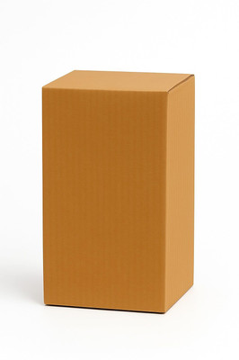 SecureShip Corrugated Cardboard Packaging Box(Pack of 10 Brown)