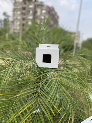 MM WILL CARE Corrugated Cardboard Bird House for Sparrow, Budgies and Finches with Air Ventilation Packaging Box Packaging Box(Pack of 25 White)