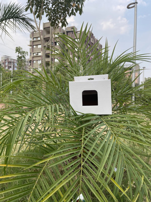 MM WILL CARE Corrugated Cardboard This bird house has 5 cm entrance hole so that birds like Sparrow, Packaging Box(Pack of 10 White)