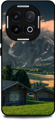 FAZAKA Back Cover for iQOO 13 5G On Glossy Metal Phone Cover | FOREST IN HOUSE(Multicolor, Shock Proof, Pack of: 1)