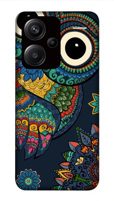NDCOM Back Cover for Redmi Note 13 Pro Plus 5G(Multicolor, Hard Case, Pack of: 1)