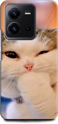 WallCraft Back Cover for Vivo V25 5G, V2228 CAT, CUTE CATE, LITTILE CAT, BLUE EYES CAT, FUNNY(Multicolor, Dual Protection, Pack of: 1)