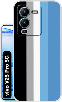 Case Club Back Cover for vivo v25 pro(Multicolor, Grip Case, Silicon, Pack of: 1)