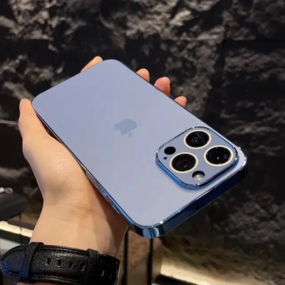 EXOTIC FLOURISH Back Cover for Apple iPhone 12 Pro Max(Blue)