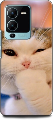 WallCraft Back Cover for Vivo V25 Pro 5G, V2158 CAT, CUTE CATE, LITTILE CAT, BLUE EYES CAT, FUNNY(Multicolor, Dual Protection, Pack of: 1)
