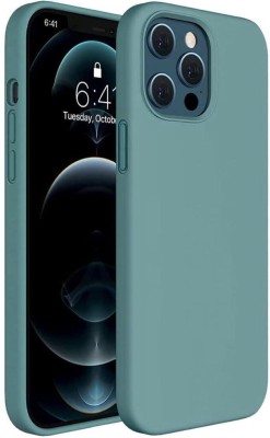 DREAMERS HUB Back Cover for Liquid Silicone Back Cover Case for Apple iPhone 12 Pro Max (6.7 inch)(Green, Grip Case, Silicon, Pack of: 1)