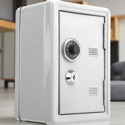 AORDEY Piggy Bank Coin Safe with Key Lock & Money Drop Slot, Kids’ Metal Savings Box Cash Box(2 Compartments)