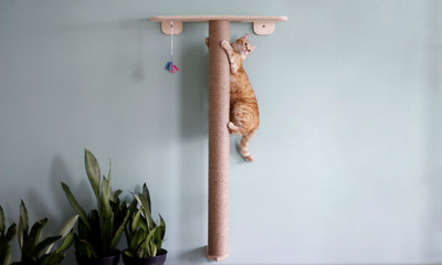 House of Meows Cat Paw Perch & Scratch Tree Sisal Jute Rope for cats and Kittens (Pack of 1) Free Standing Cat Tree