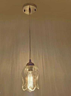 DONERIA Ceiling Light Lamp1 Pendant Lamp Ceiling Lamp(Clear)