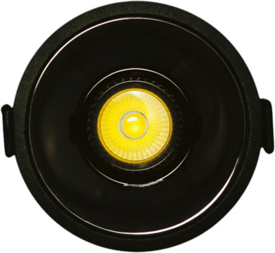 K2 LIGHTON 12W Ultraspot COB Light Full Black 4000K Spot Light Ceiling Lamp(Black)
