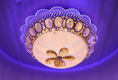 Swanart Chandelier Ceiling Lamp(Multicolor)