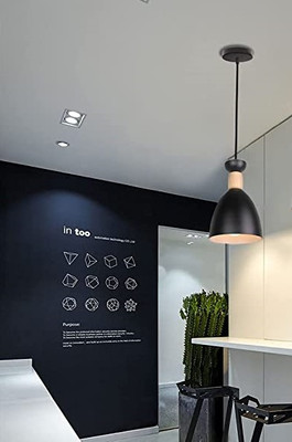 GAUVIK Pendants Ceiling Lamp(Black)