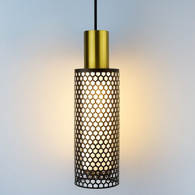 spark world Metal-cage pendant light Pendants Ceiling Lamp(Black)