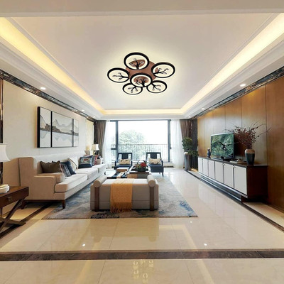 MNKD COLLECTION 3 in 1 Color Center Circle Light Ceiling LED Chandelier with Bluetooth Speaker Chandelier Ceiling Lamp(White)