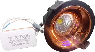 NORTIXON 12W COB ALUMINIUM CURVE Ceiling Light Ceiling Lamp(Black)