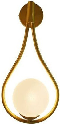 Areezo Versatile Glass Pendant Lamp for Dining Rooms(Bulb Not Incl.) (Pack of 1) Pendant Lamp Ceiling Lamp(Gold)