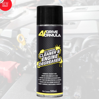 AUTO PICKUP Chain Cleaner and Degreaser