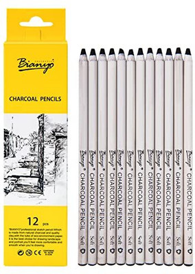 Arrolliant Natural Charcoal, Willow and Vine Charcoal Charcoal Pencils Stick(Pack of 1)