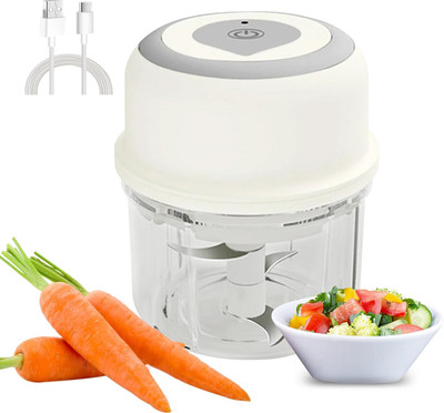 Obvie Rechargeable Compact Electric Chopper, 250ml Storage Container Steel Blades Electric Vegetable & Fruit Chopper(1 X garlic chopper)