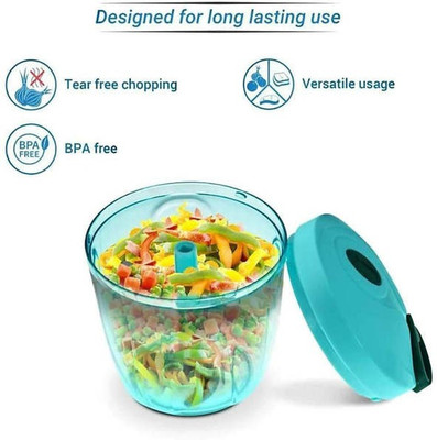 Dabster Vegetable & Fruit Chopper(1)