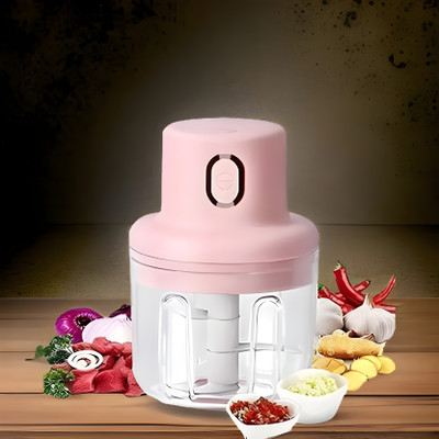 RoaRich Mini Electric Vegetable Cutter, 250ml, Rechargeable, 45W, Multipurpose Electric Vegetable & Fruit Chopper(1 x Electric Chopper (250ml), 1 x USB Cable, 1 x SS Blade Assembly, 1 x User Manual)