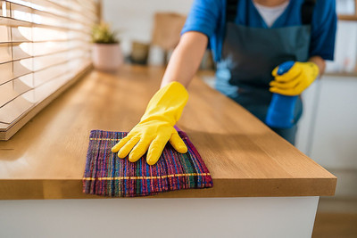 CKG CLEANING CLOTH Wet and Dry Polyester Cleaning Cloth(12 Units)