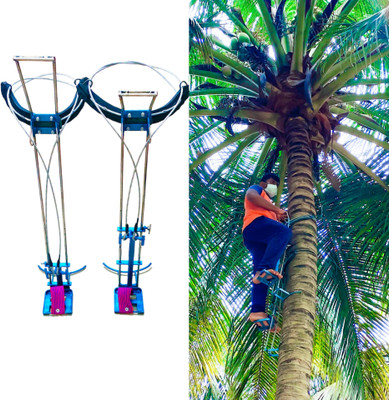 SARA SaraTCMHD Climbing Hold