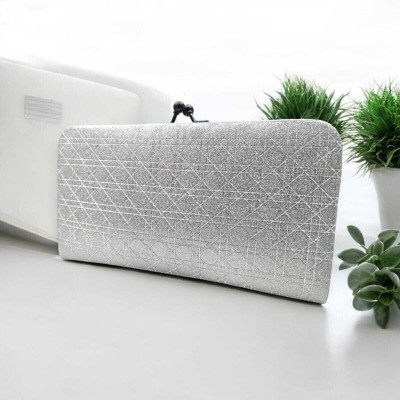 Fantastiqo Party Silver  Clutch